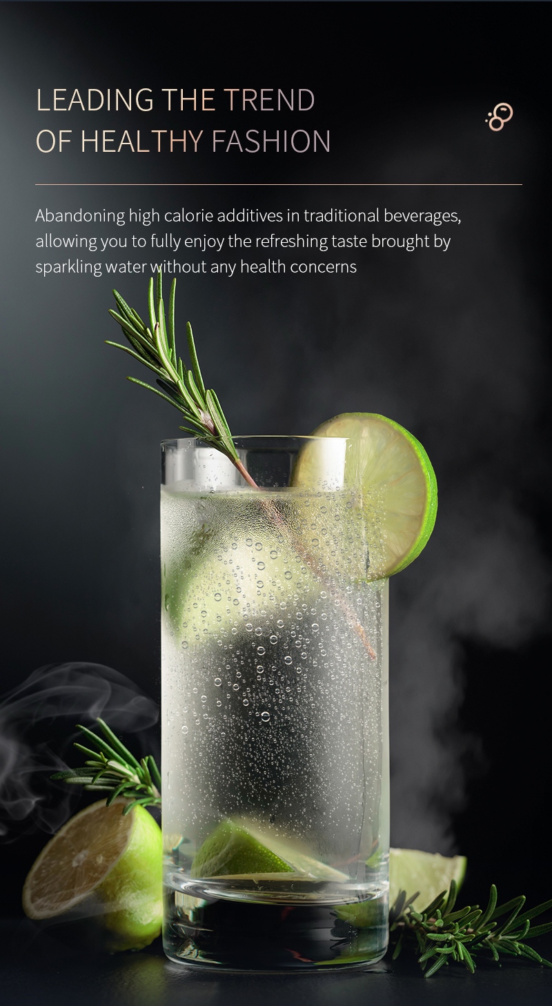 RO Water Purifier
