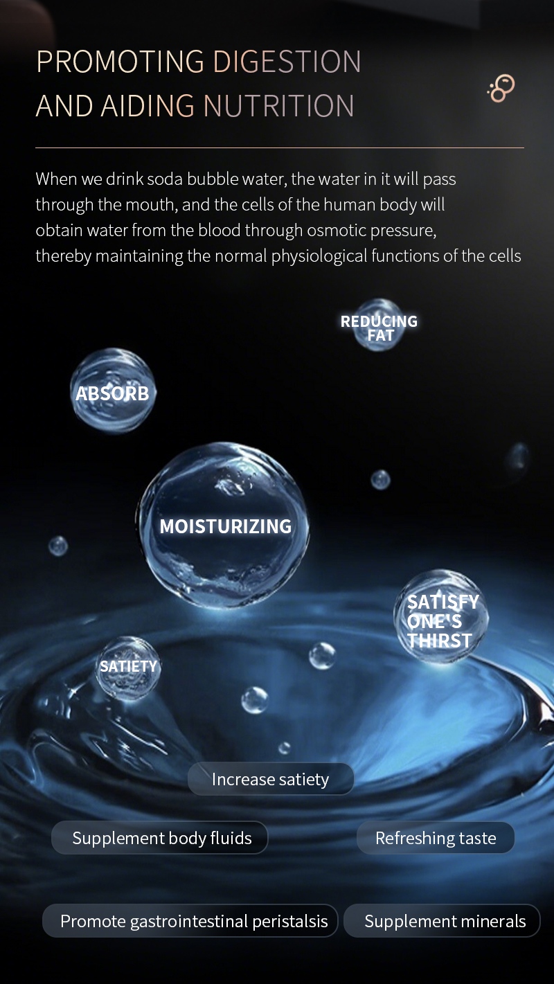 RO Water Purifier