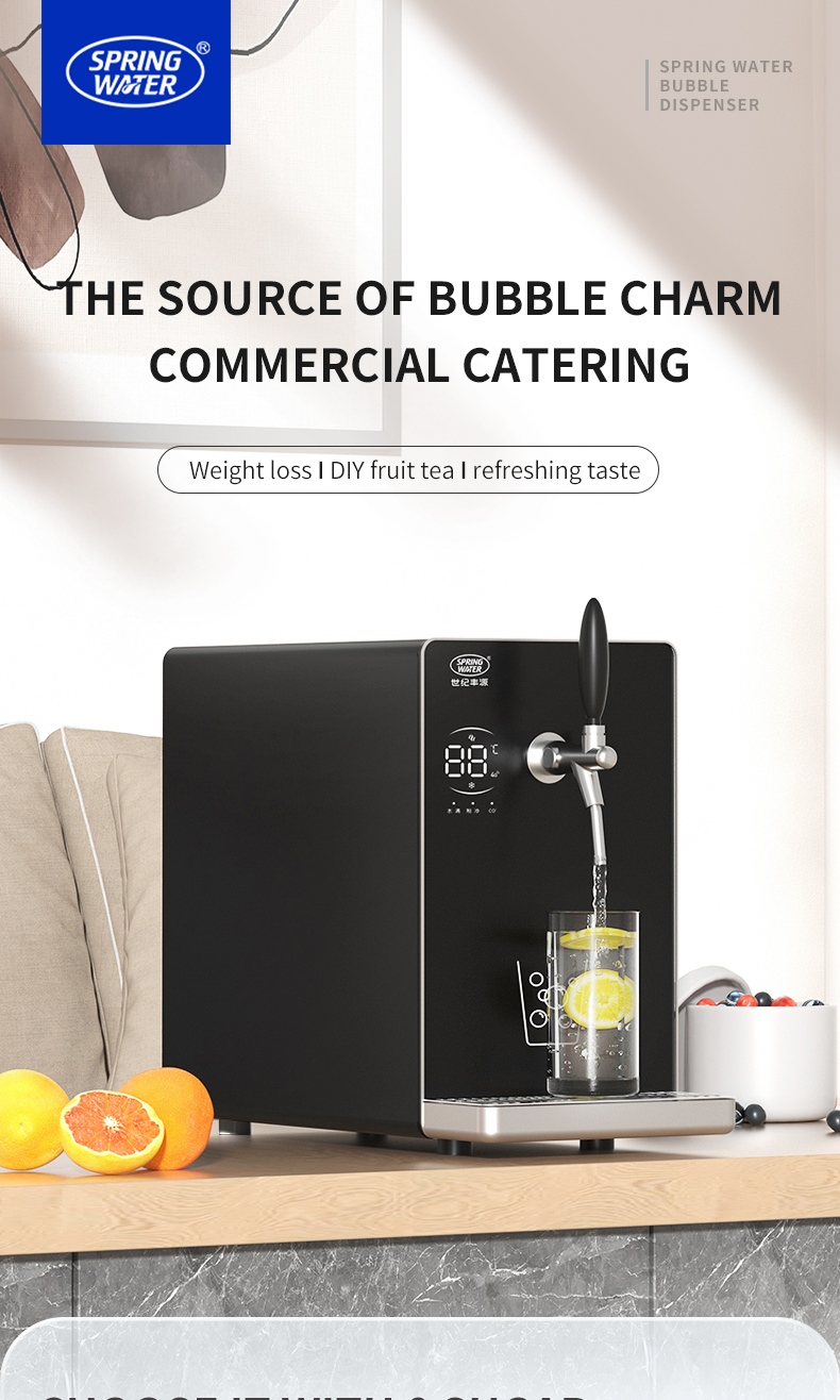 RO Water Purifier