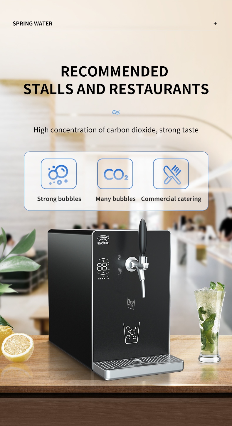 RO Water Purifier